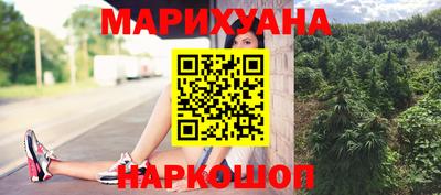 крисы Кулебаки