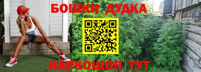 крисы Кулебаки