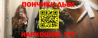 крисы Кулебаки