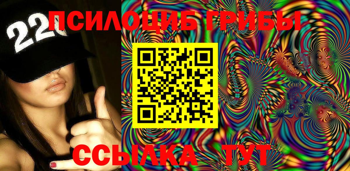 Псилоцибиновые грибы Psilocybine cubensis Холмск