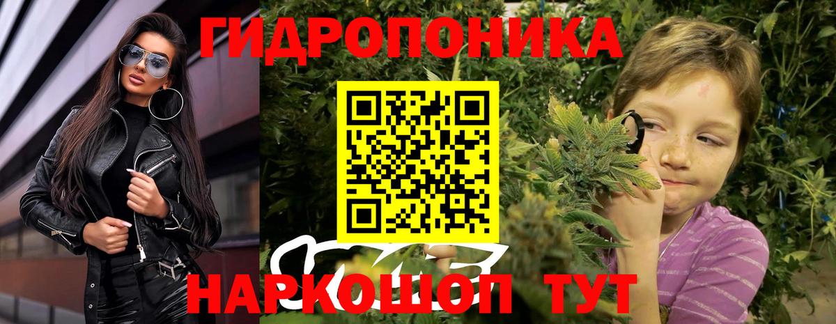 Холмск  Каннабис план  Каннабис гибрид  Вход с VPN  Канабис THC 21% 